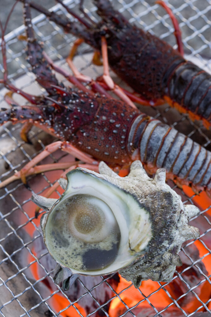 初夏の沖縄で海辺のbbqを楽しむ