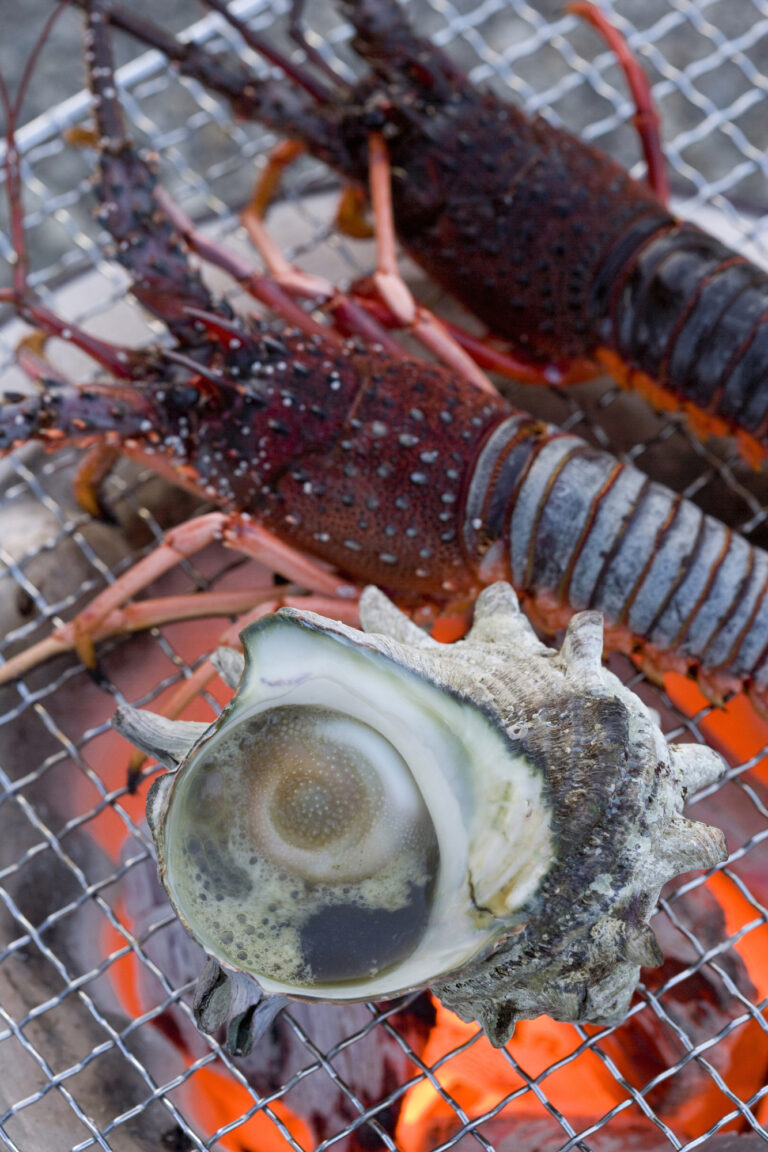 初夏の沖縄で海辺のbbqを楽しむ